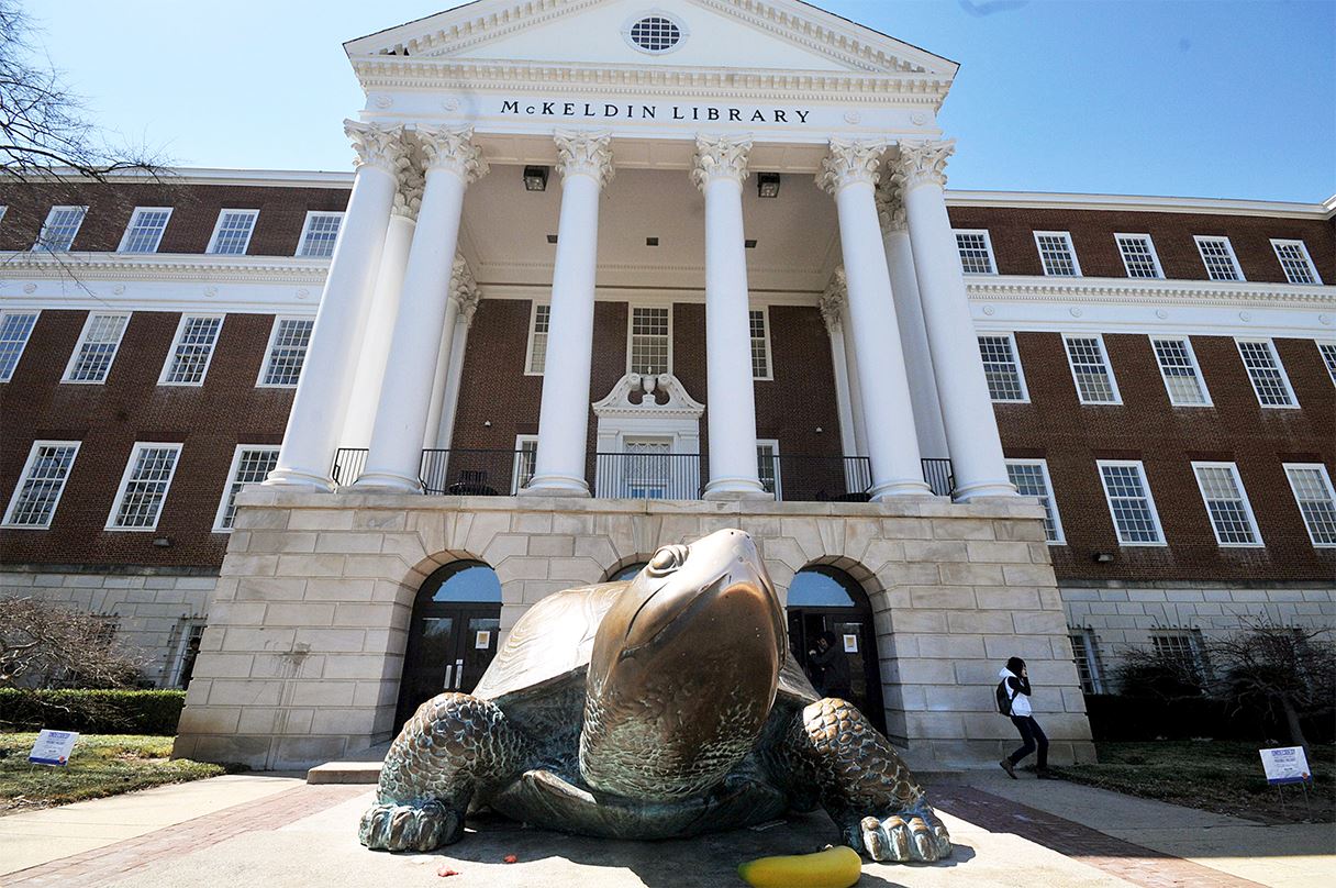 UMD Library and turtle